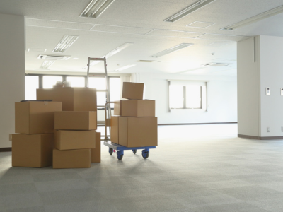 Nos prestations sur le secteur de Dardilly proche de Limonest